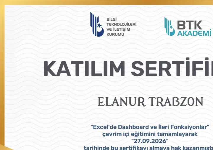 Elanur Trabzon — Excel'de Dashboard ve İleri Fonksiyonlar sertifikası